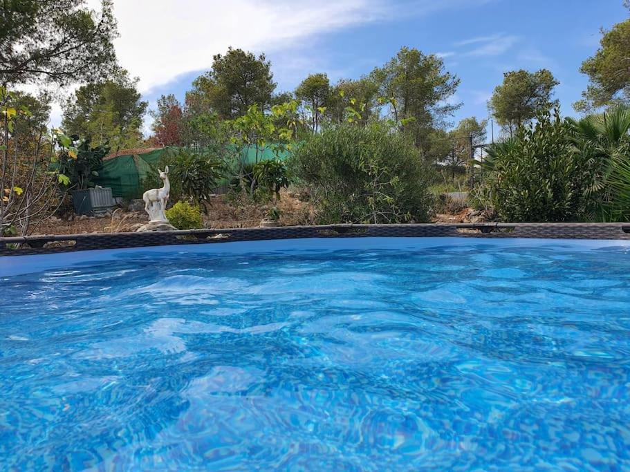 Le Petit Paradis Olivella Exterior foto